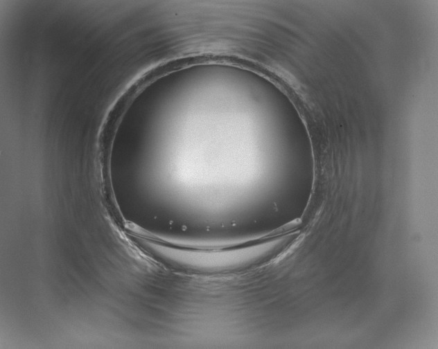 X0000074001118200609061016