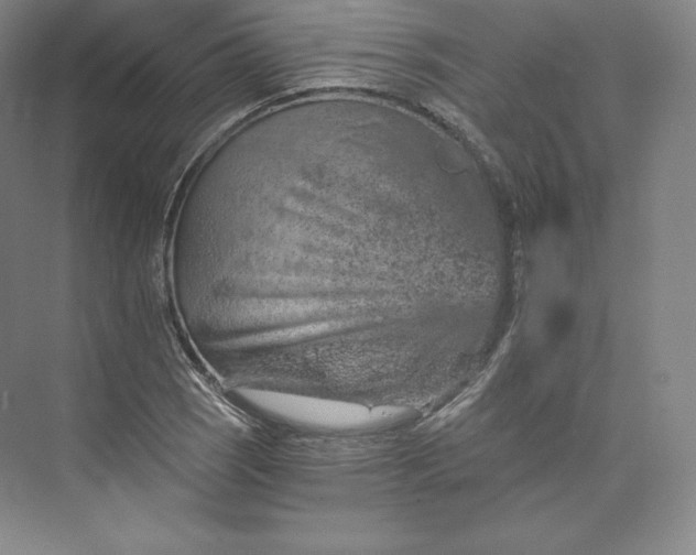 X0000074001121200609061016