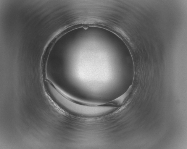 X0000074001122200609061016