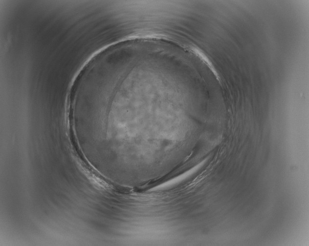 X0000074001124200609061016