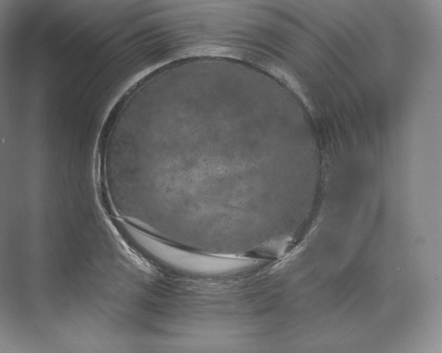 X0000074001125200609061016