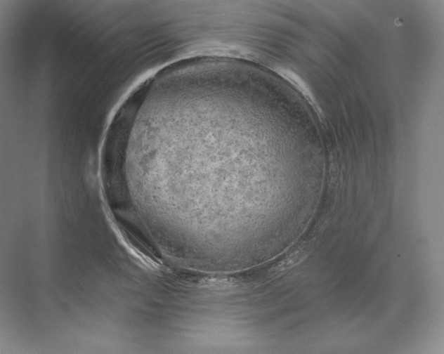 X0000074001128200609061016