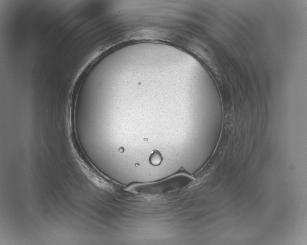 X0000074001130200609061017