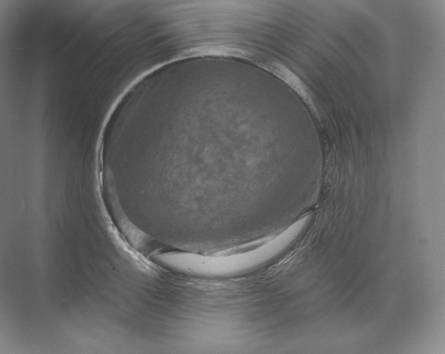 X0000074001132200609061017