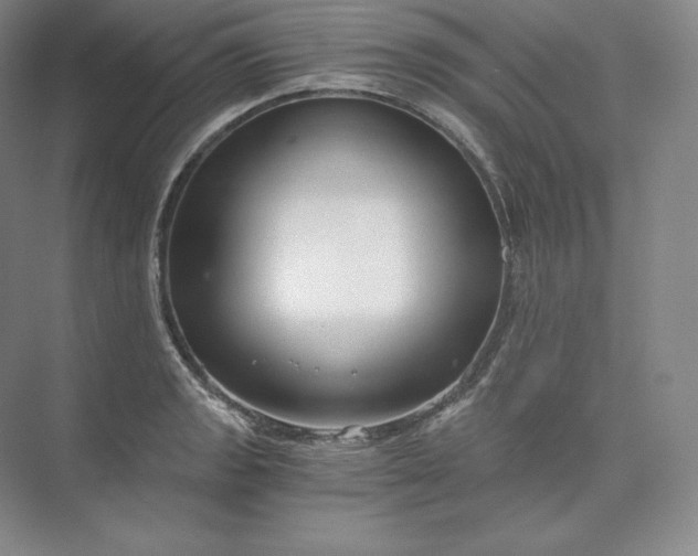 X0000074001133200609061017