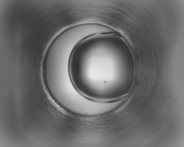 X0000074001134200609061017