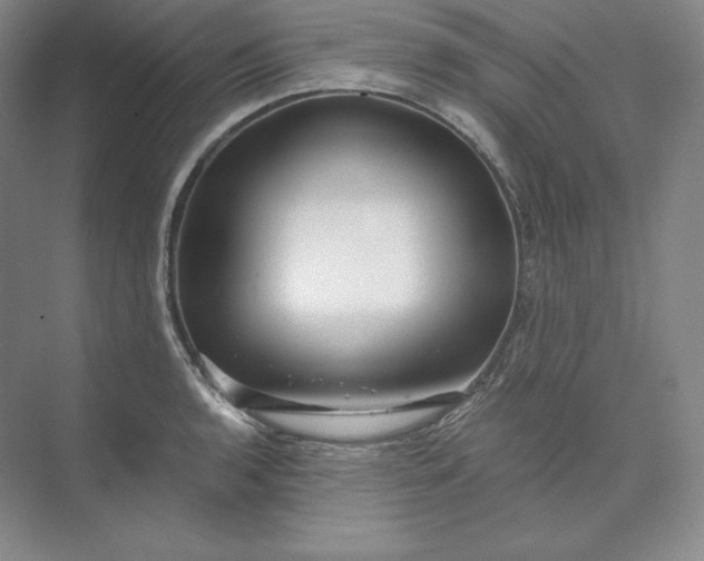 X0000074001136200609061017