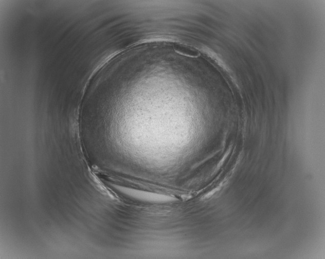 X0000074001137200609061017