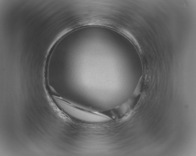 X0000074001138200609061017