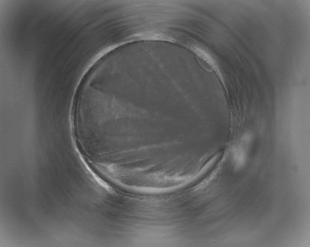 X0000074001141200609061017