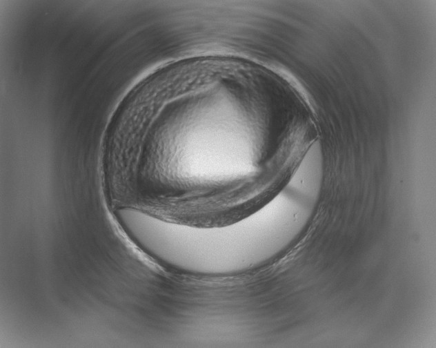 X0000074001142200609061017