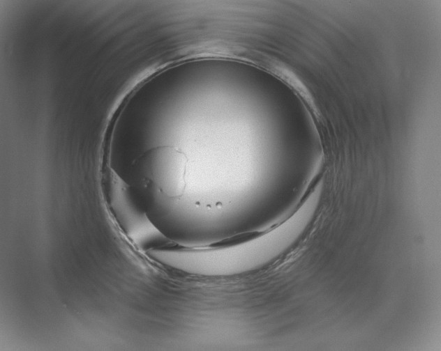 X0000074001146200609061017