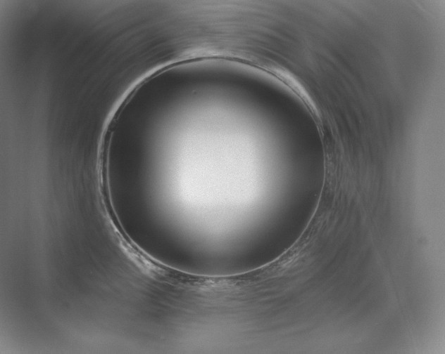 X0000074001148200609061017