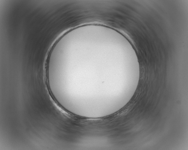 X0000074001151200609061017