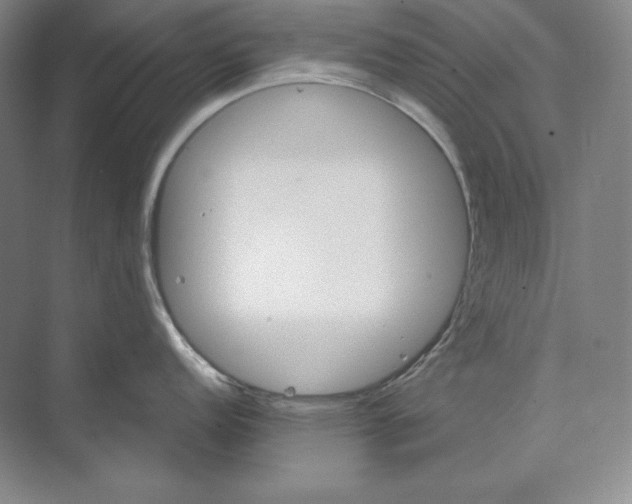 X0000074001152200609061017