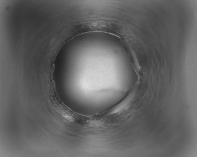 X0000074001153200609061016