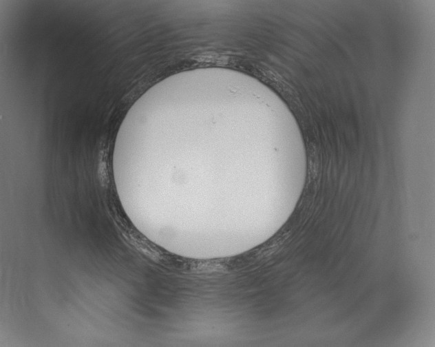 X0000074001154200609061016