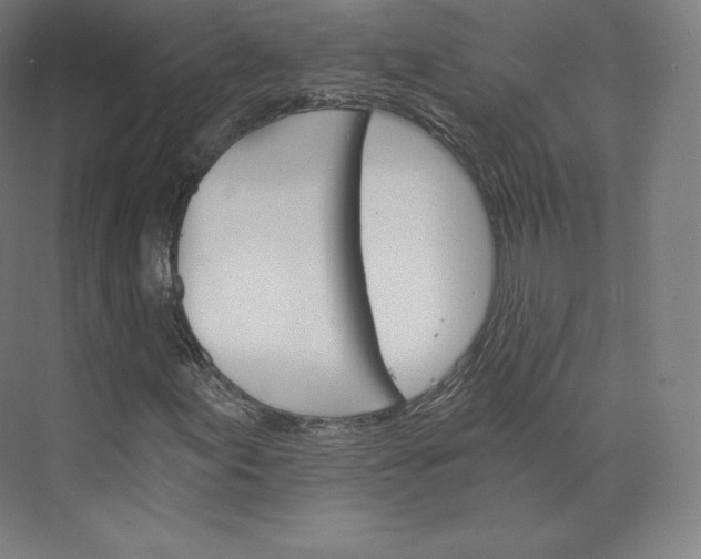 X0000074001155200609061016