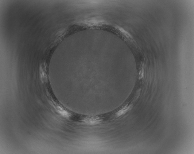 X0000074001156200609061016