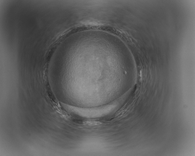 X0000074001157200609061016