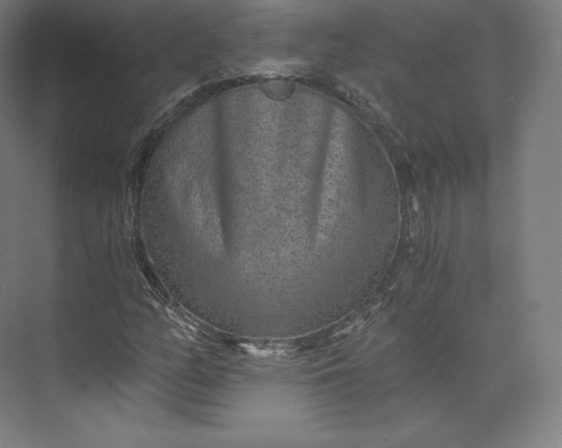 X0000074001158200609061016