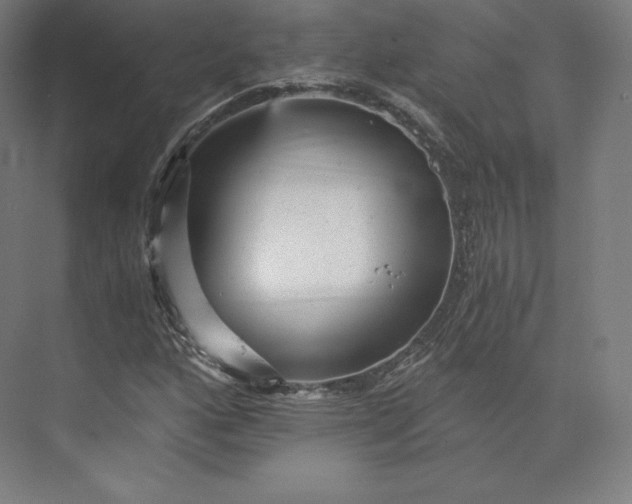 X0000074001160200609061016