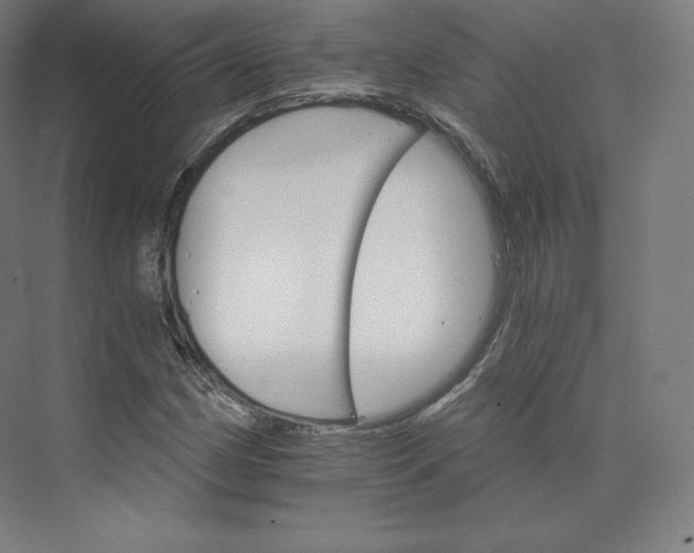 X0000074001162200609061016