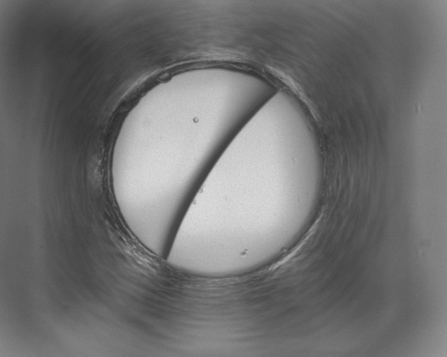 X0000074001163200609061016