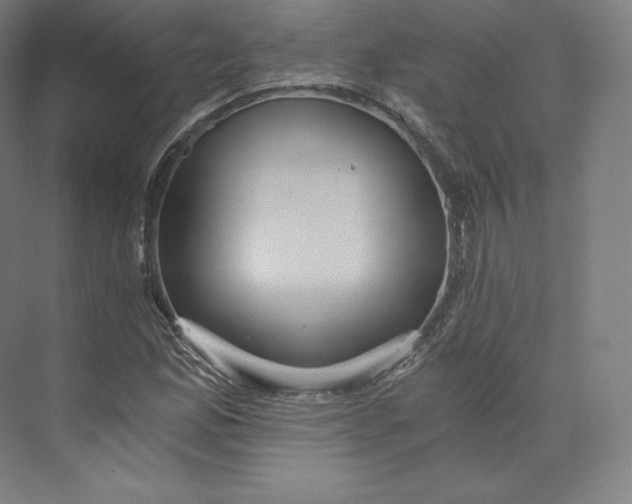 X0000074001165200609061016