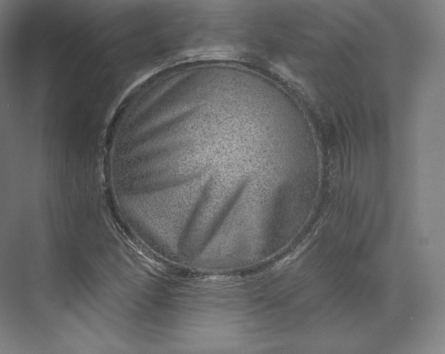 X0000074001166200609061016