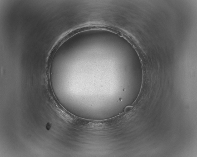 X0000074001168200609061016