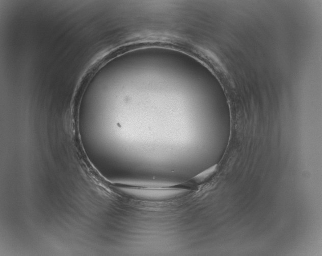 X0000074001172200609061016