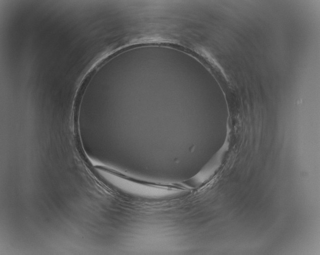 X0000074001173200609061016