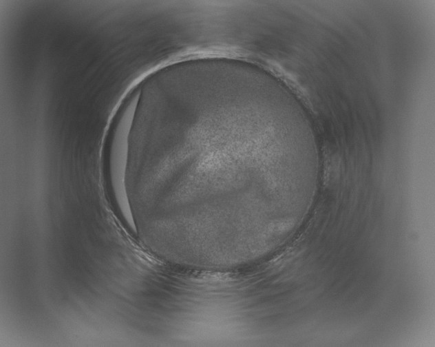 X0000074001174200609061016