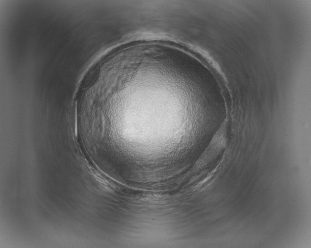 X0000074001175200609061016