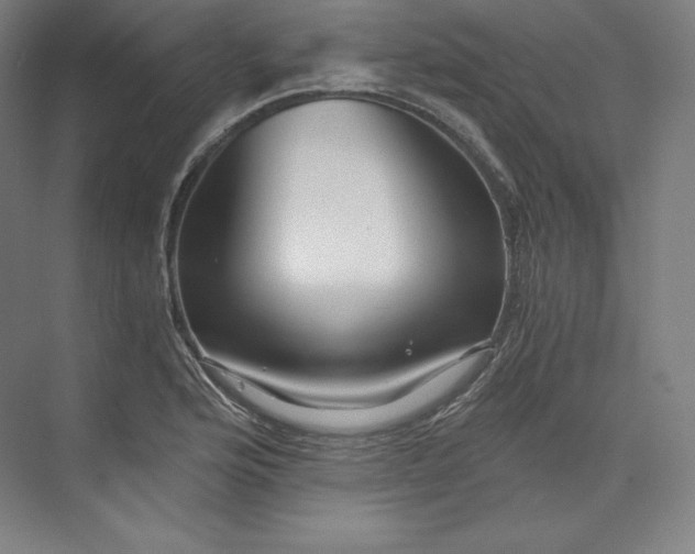 X0000074001176200609061016