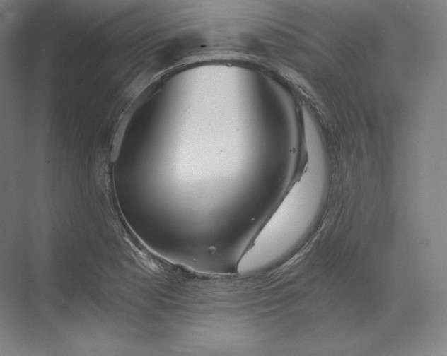 X0000074001177200609061016