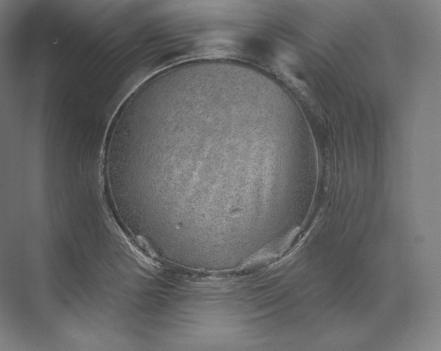 X0000074001178200609061016