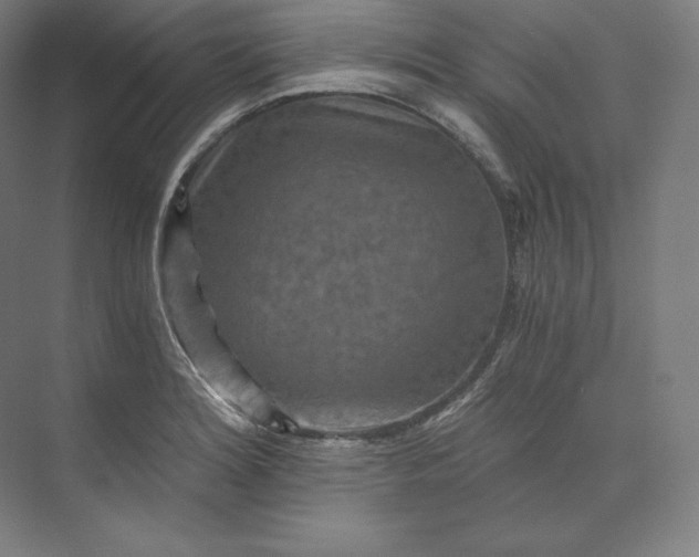 X0000074001180200609061016