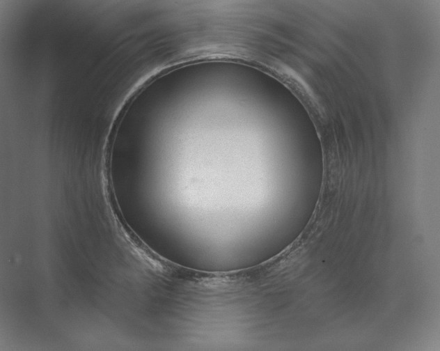 X0000074001182200609061016