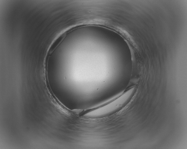 X0000074001184200609061016