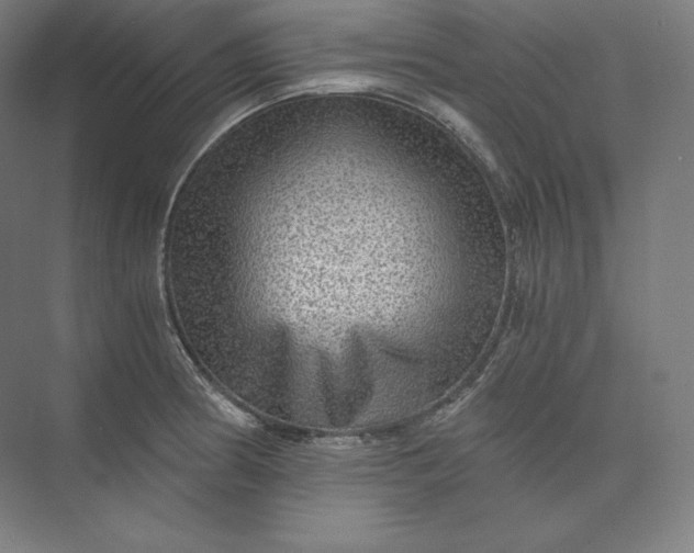 X0000074001186200609061016