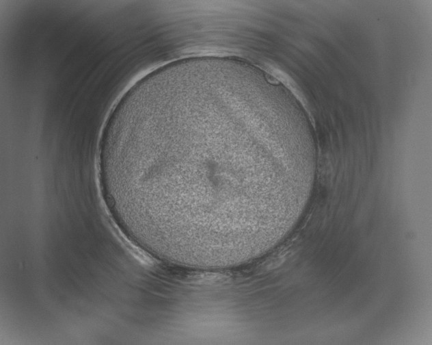 X0000074001187200609061015