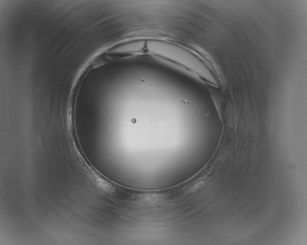 X0000074001188200609061015