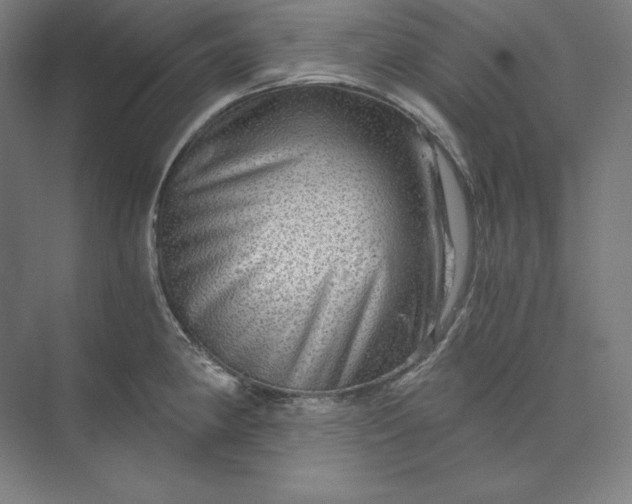 X0000074001190200609061015