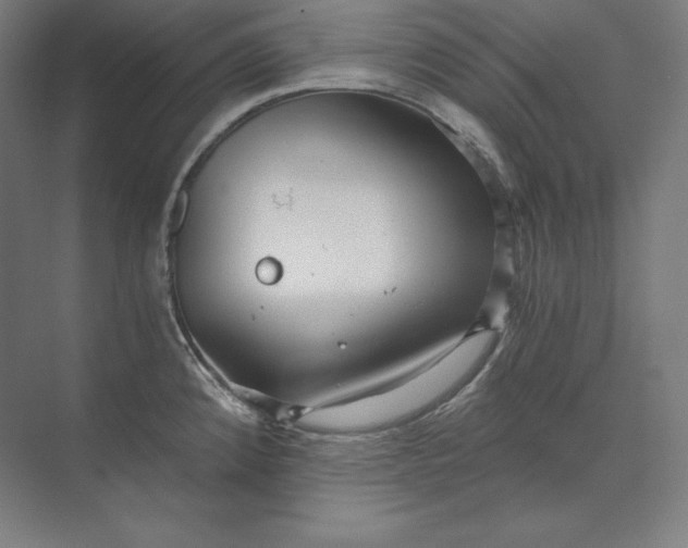 X0000074001192200609061015