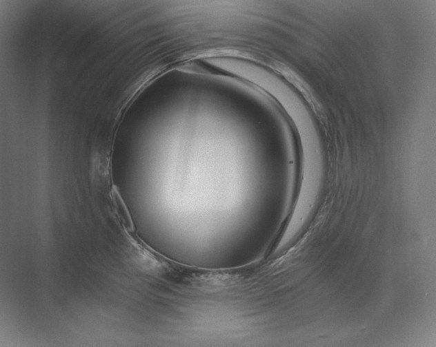 X0000074001193200609061015