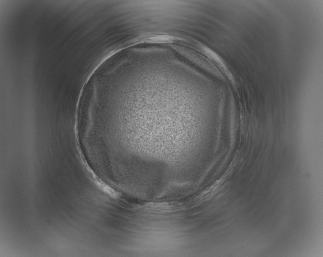 X0000074001194200609061015