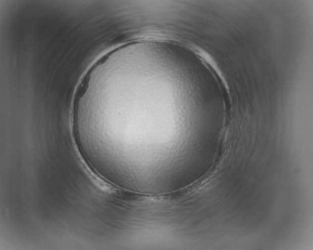 X0000074001195200609061015