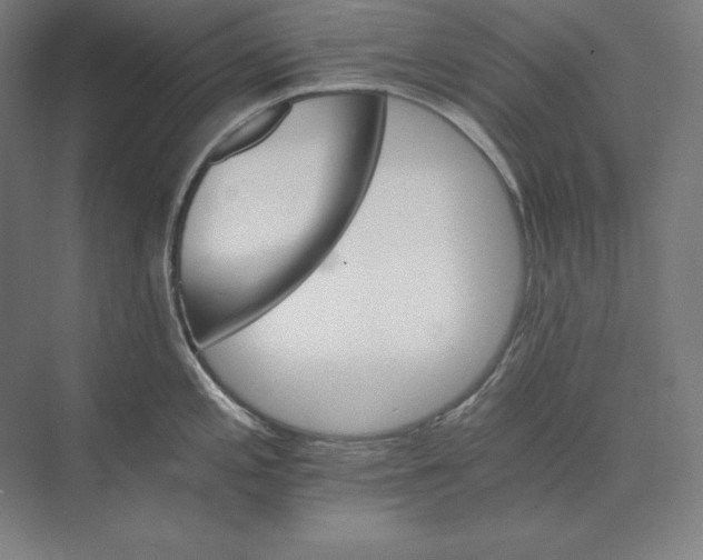 X0000074001197200609061015